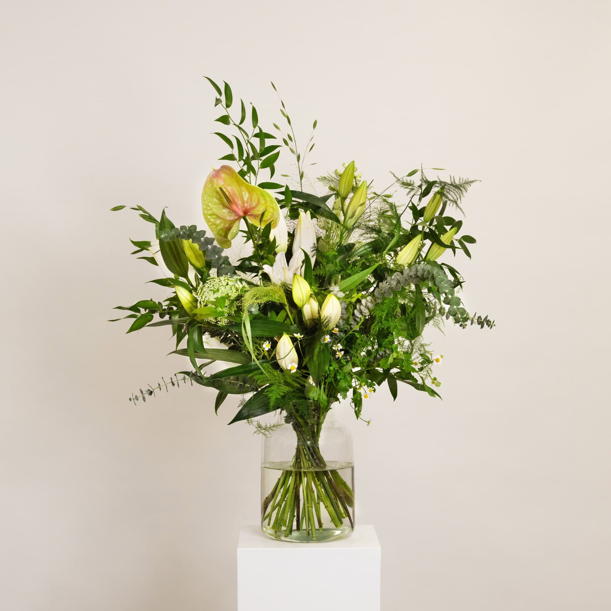 Botanic-Original_V1_C