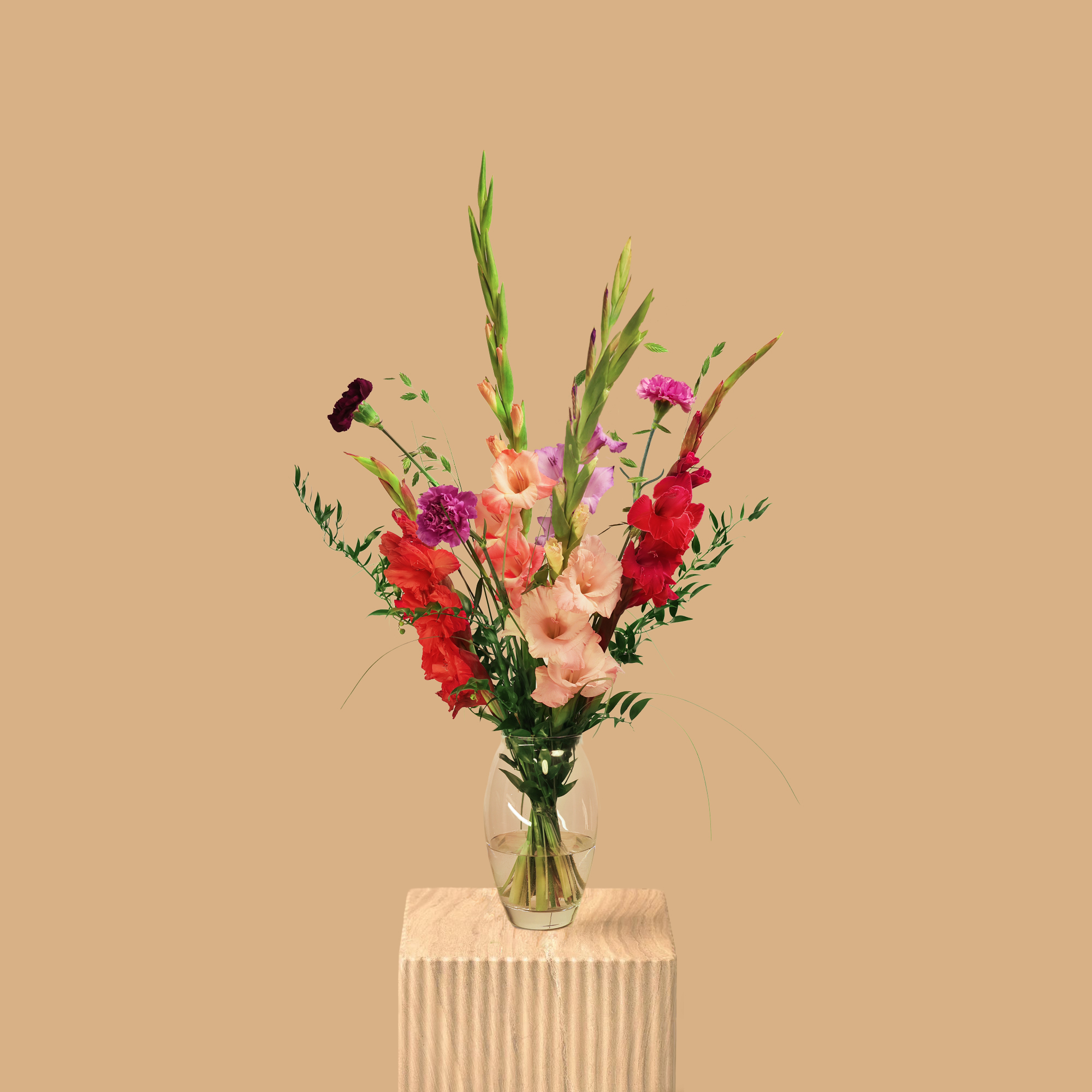 GLADIOLUS